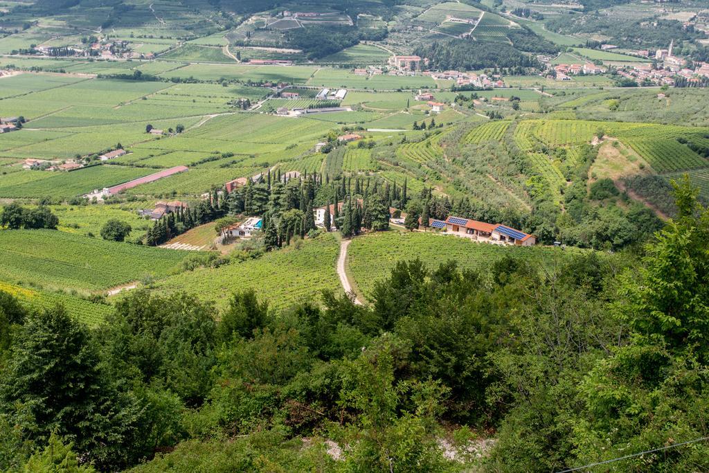 Mezzane di Sotto Massimago Wine Relaisヴィラ エクステリア 写真